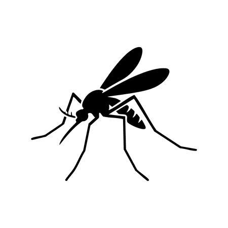 Mosquitos
