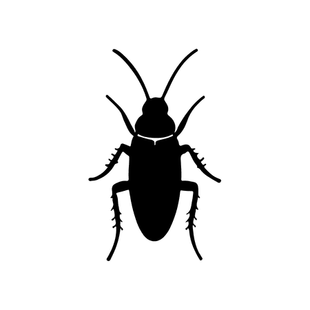 Cockroaches
